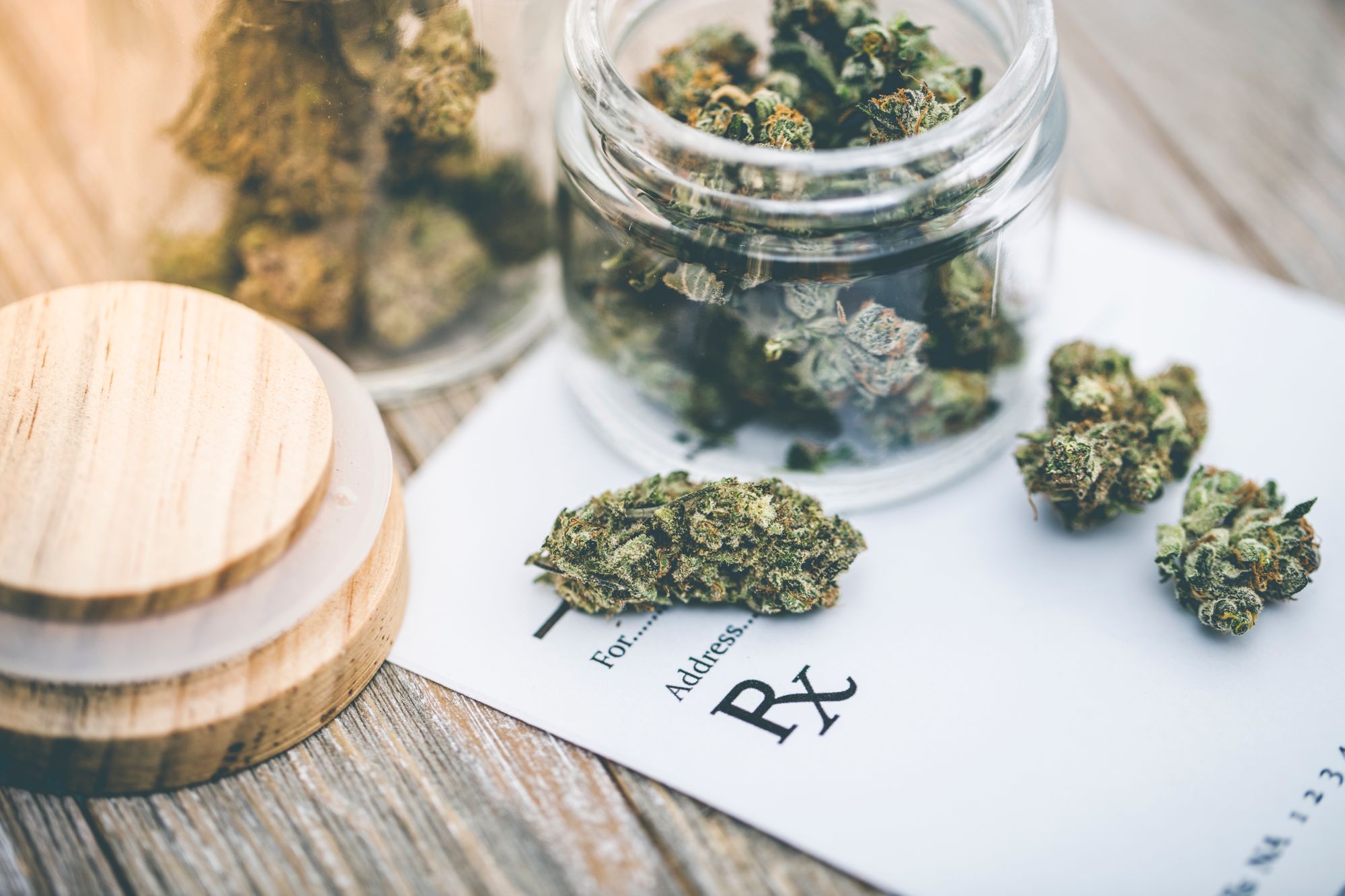 Top Trends and Insights Defining the Best Online Cannabis Shopping Experience in Canada